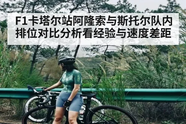 F1卡塔尔站阿隆索与斯托尔队内排位对比分析看经验与速度差距